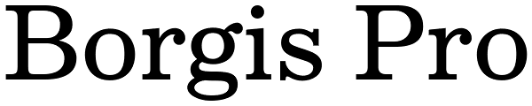 Borgis Pro