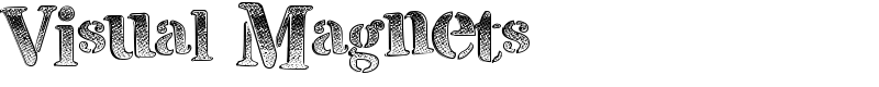 Visual Magnets