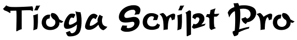Tioga Script Pro