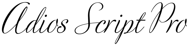 Adios Script Pro