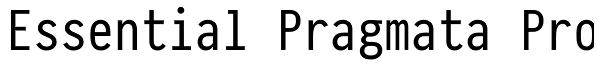 Essential Pragmata Pro
