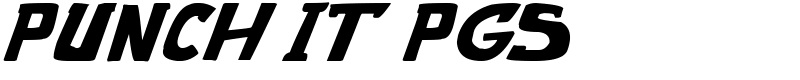 Punch It PGS