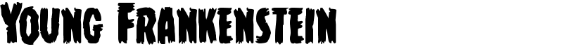 Young Frankenstein