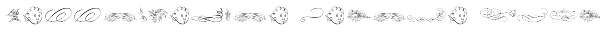 Calligraphia Latina Soft 4