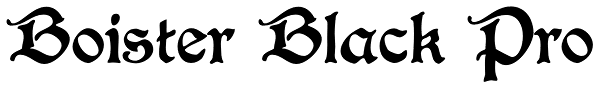 Boister Black Pro
