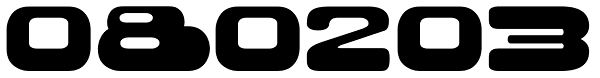 080203