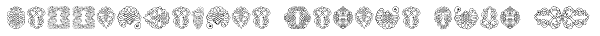 Calligraphia Latina Soft 2