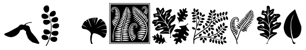 DB Foliage