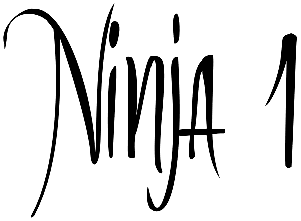 Ninja 1