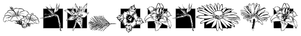Fleuraloha