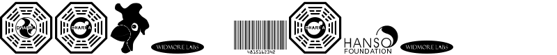 Lost Font
