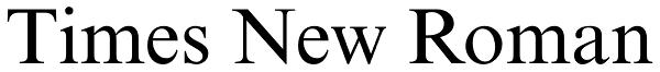 Times New Roman