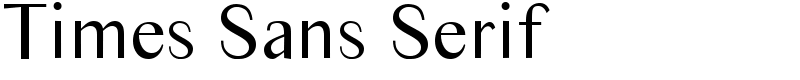 Times Sans Serif