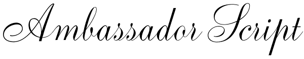 Ambassador Script