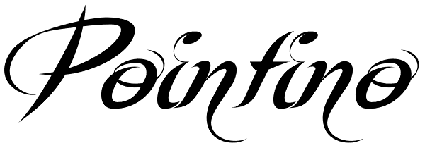 Pointino