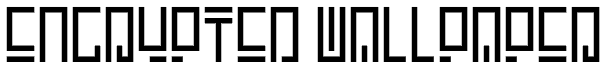 Encrypted Wallpaper