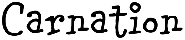 Carnation