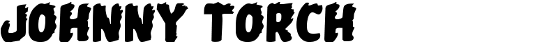Johnny Torch