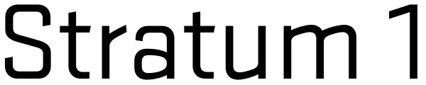 Stratum 1