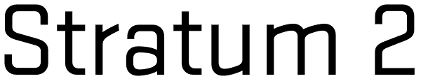 Stratum 2