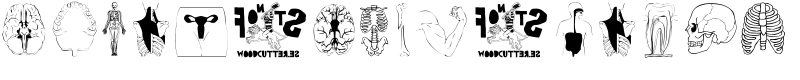 Human Body Parts