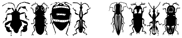 Stan Bugs