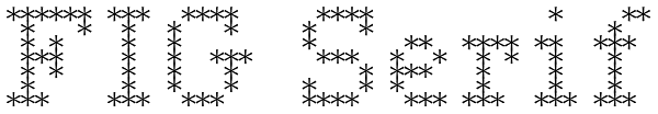 FIG Serif