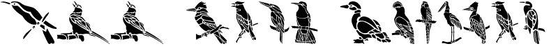HFF Bird Stencil