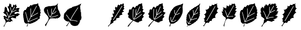 Leaf Assortment