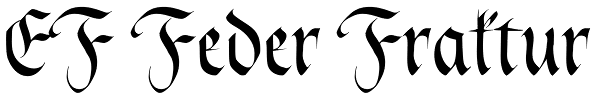 EF Feder Fraktur