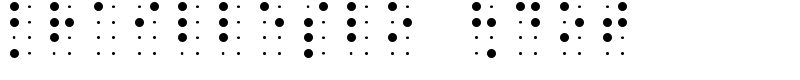 BrailleSlo 8dot