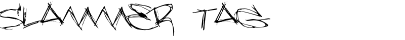 Slammer Tag