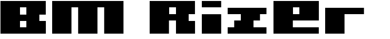 BM Rizer