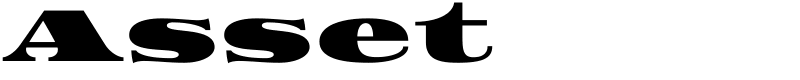 Asset