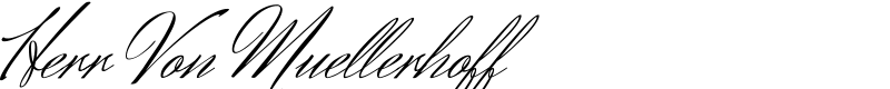 Herr Von Muellerhoff
