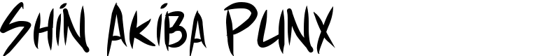 Shin Akiba Punx
