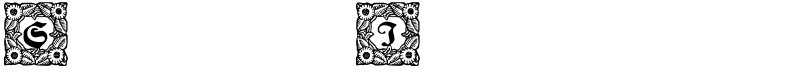 Schmuck-Initialen