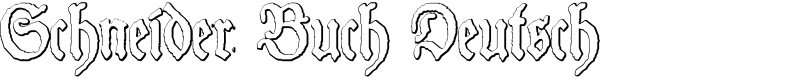 Schneider Buch Deutsch
