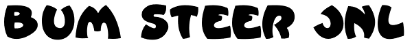 Bum Steer JNL