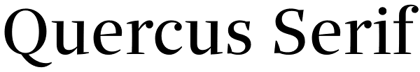 Quercus Serif
