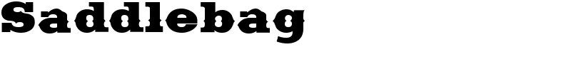 Saddlebag