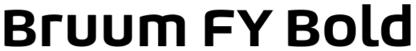Bruum FY Bold Font