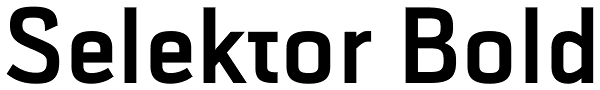 Selektor Bold Font