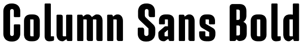 Column Sans Bold Font