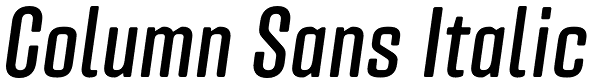 Column Sans Italic Font