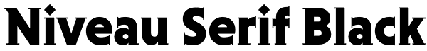 Niveau Serif Black Font
