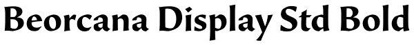 Beorcana Display Std Bold Font