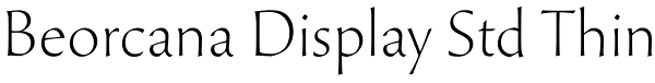 Beorcana Display Std Thin Font