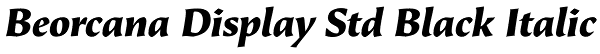 Beorcana Display Std Black Italic Font