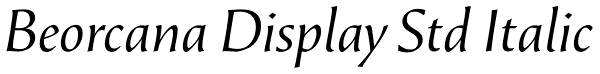 Beorcana Display Std Italic Font